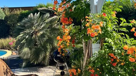 PHOTO-2025-12-07-17-43-24 (Copier)