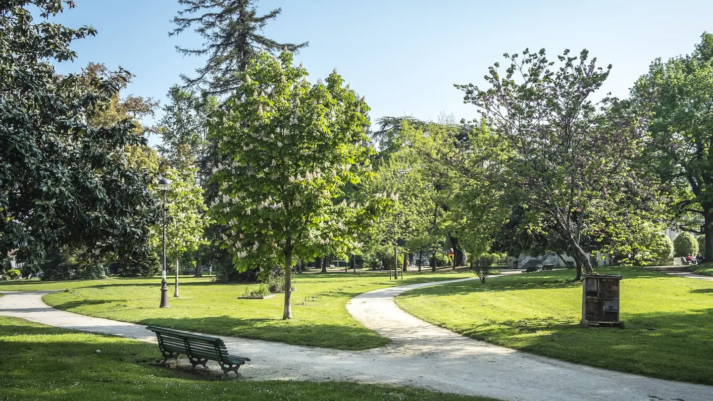 Parc Lawrence - Pau - Allée