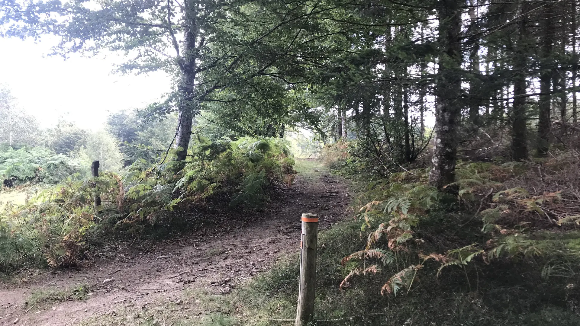 Parcours orientation Forêt de Mirambel