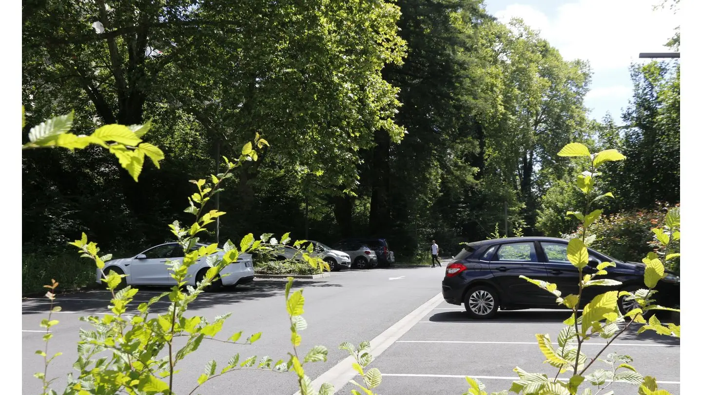 Parking Gare courte durée - arbres