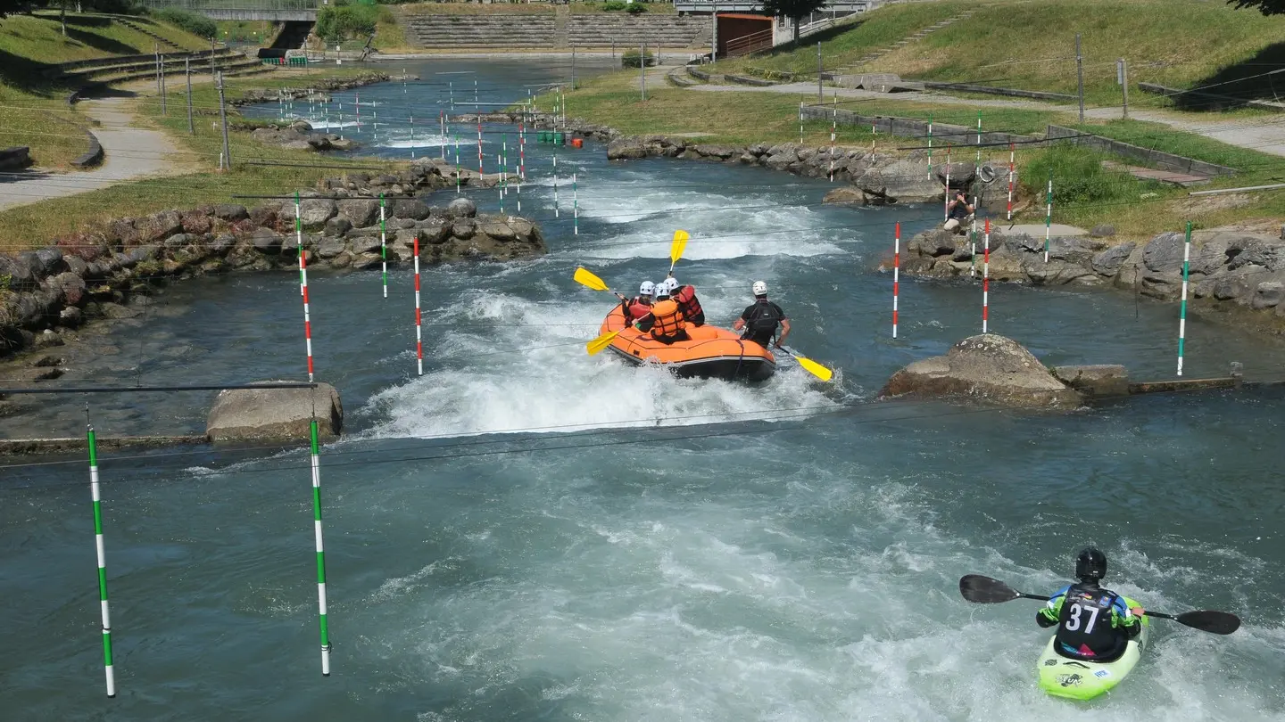 Pau-Narcastet-PI1-BVK