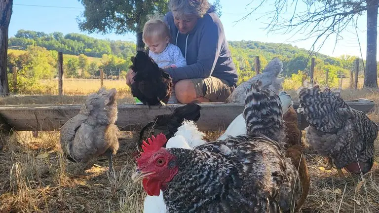 PetitFermier-Poules - Ferme à Roulettes