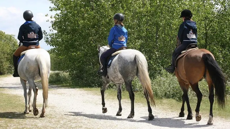 Poney-Club-03