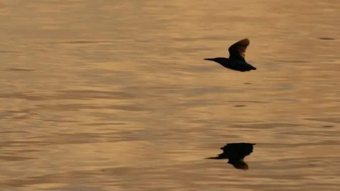 Promenade au coucher du soleil