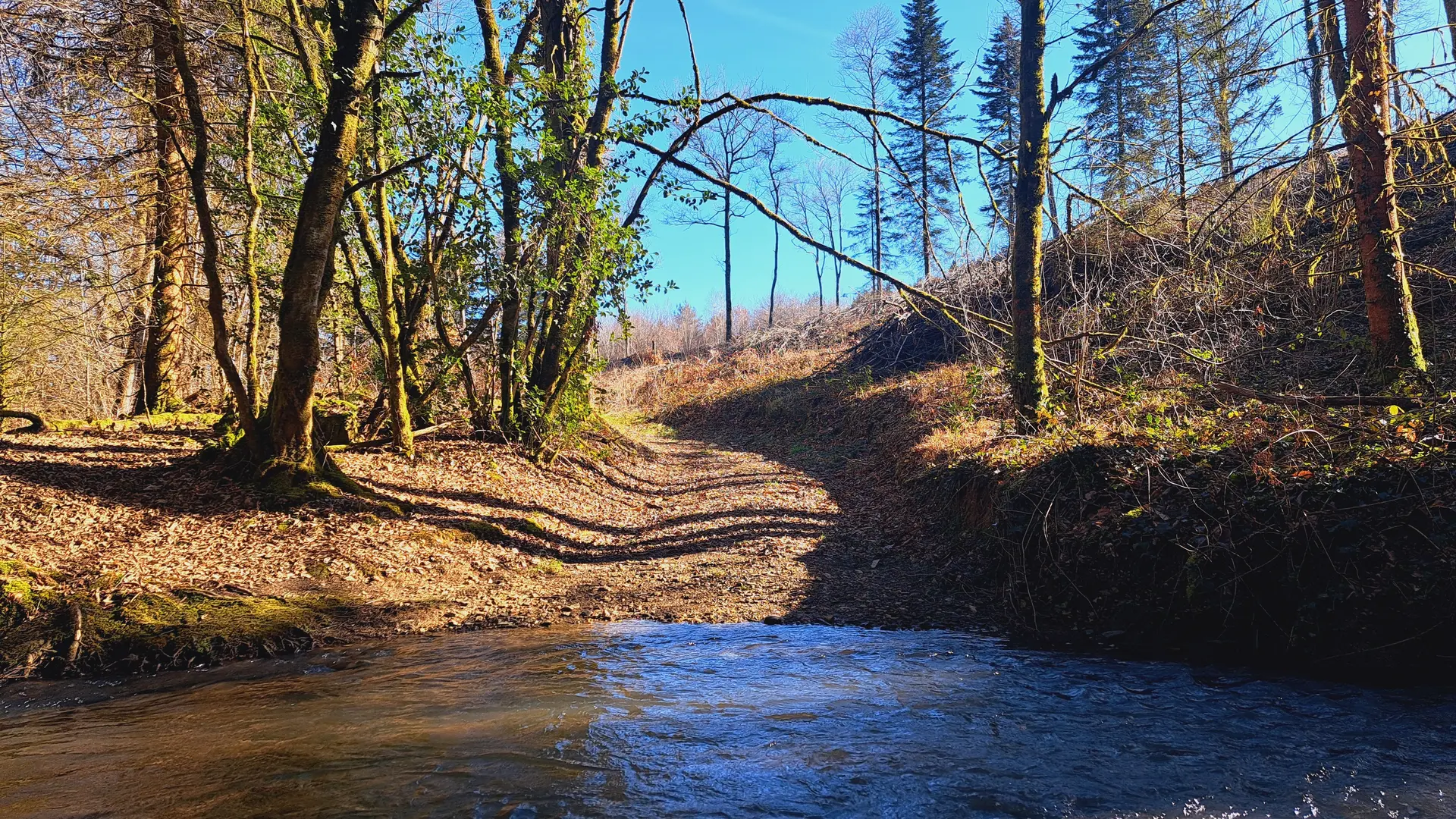 Présentation - La Siauve - Beyssac © JL OT TDC (43)