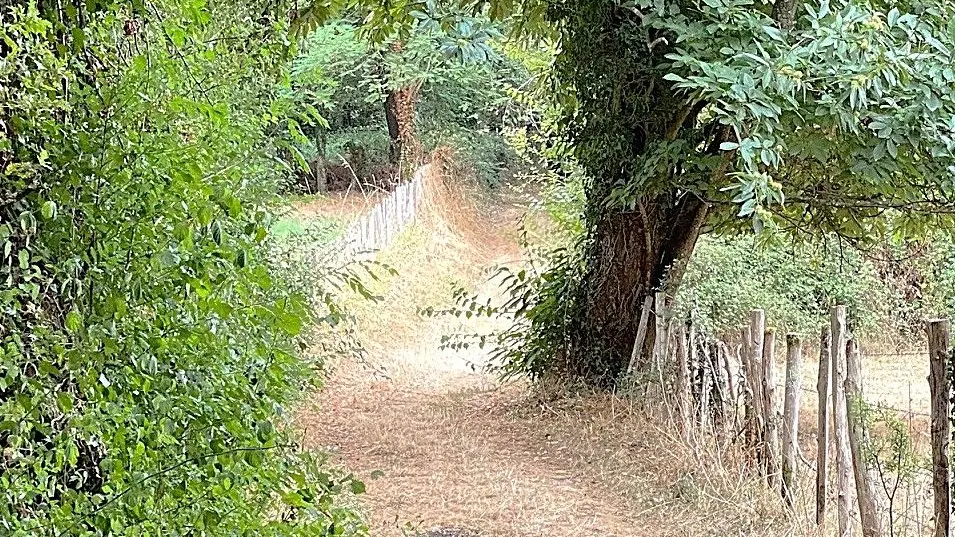 RIBERAC-Boucle de Ribérac-Chemin 2