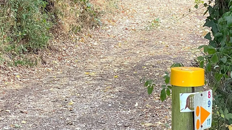 RIBERAC-Boucle de Ribérac-Chemin-Poteau