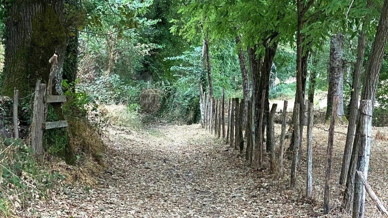 RIBERAC-Boucle de Ribérac-Chemin