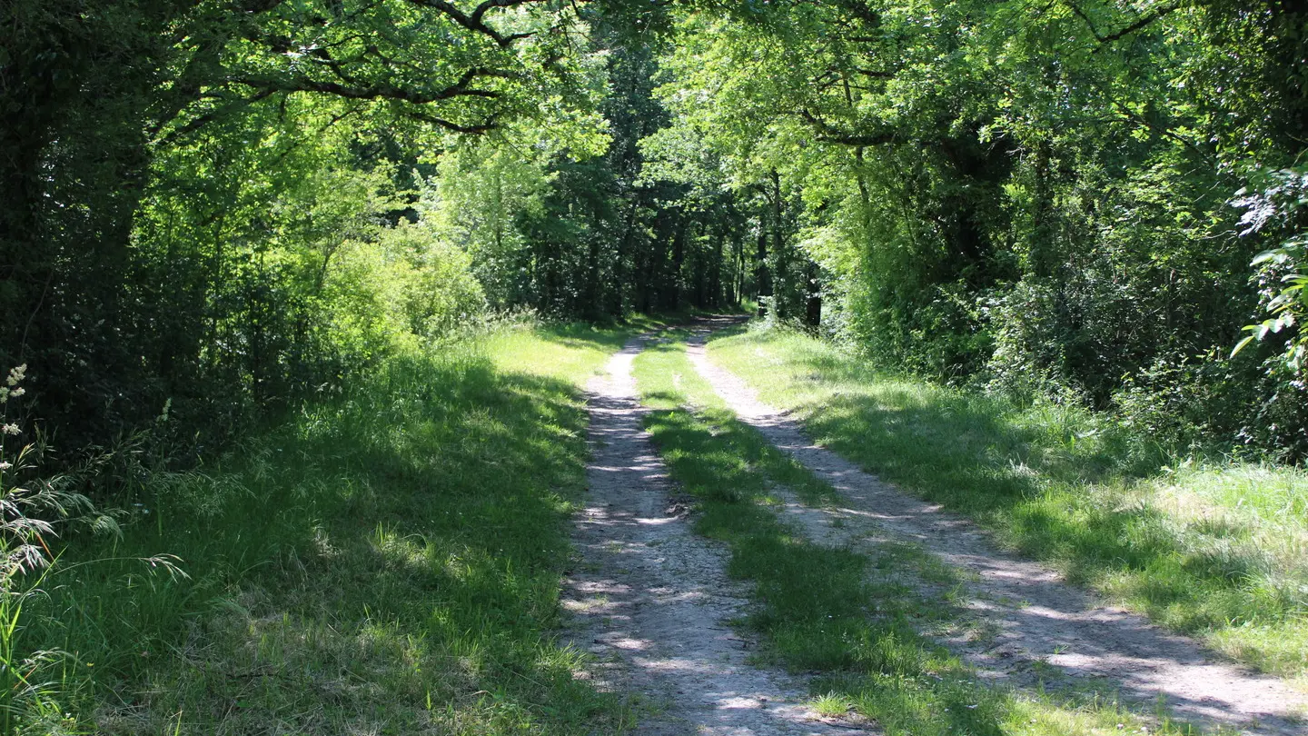Ribérac Sentier PDIPR