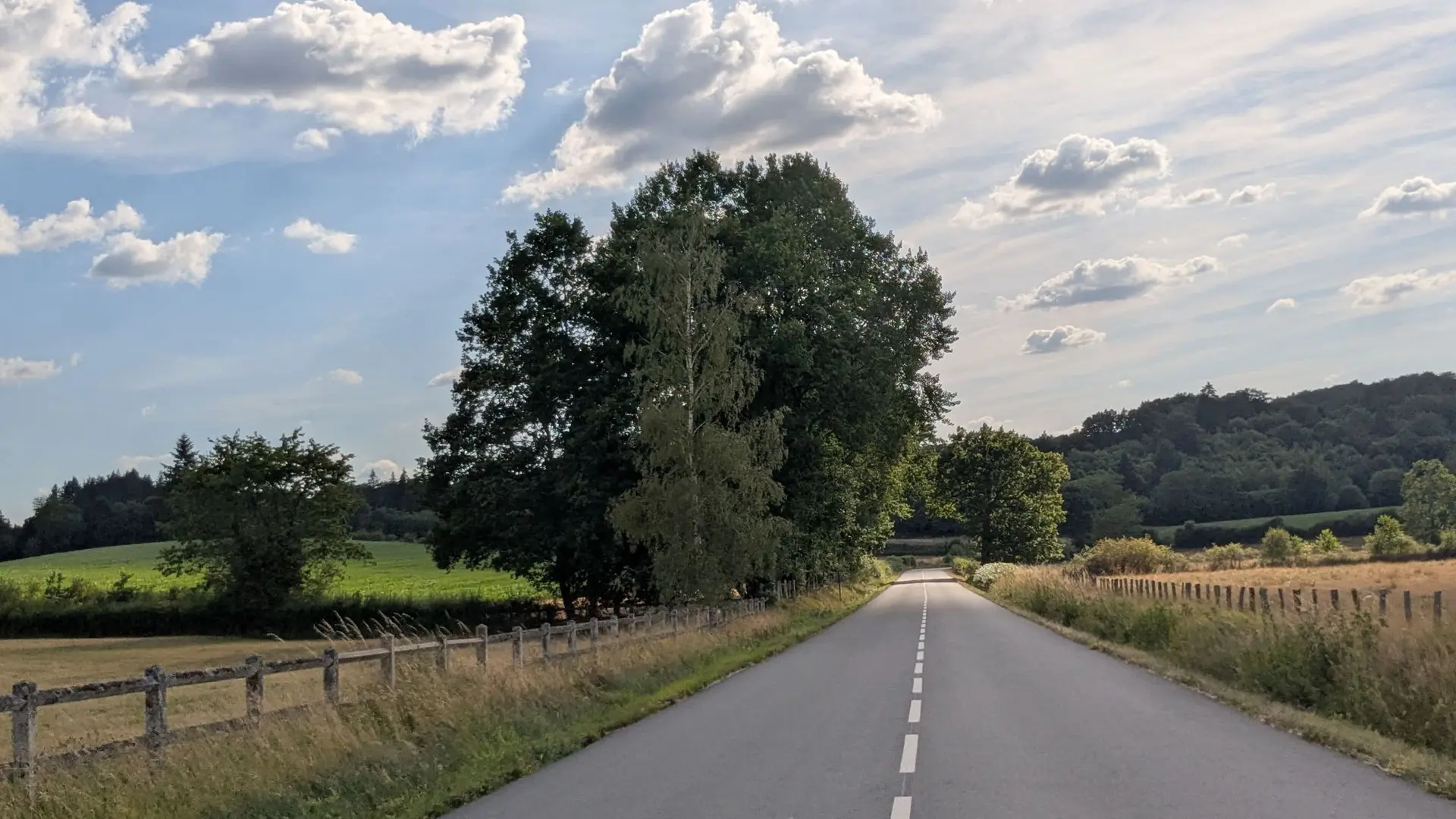 Route entre Meilhards et Lamongerie