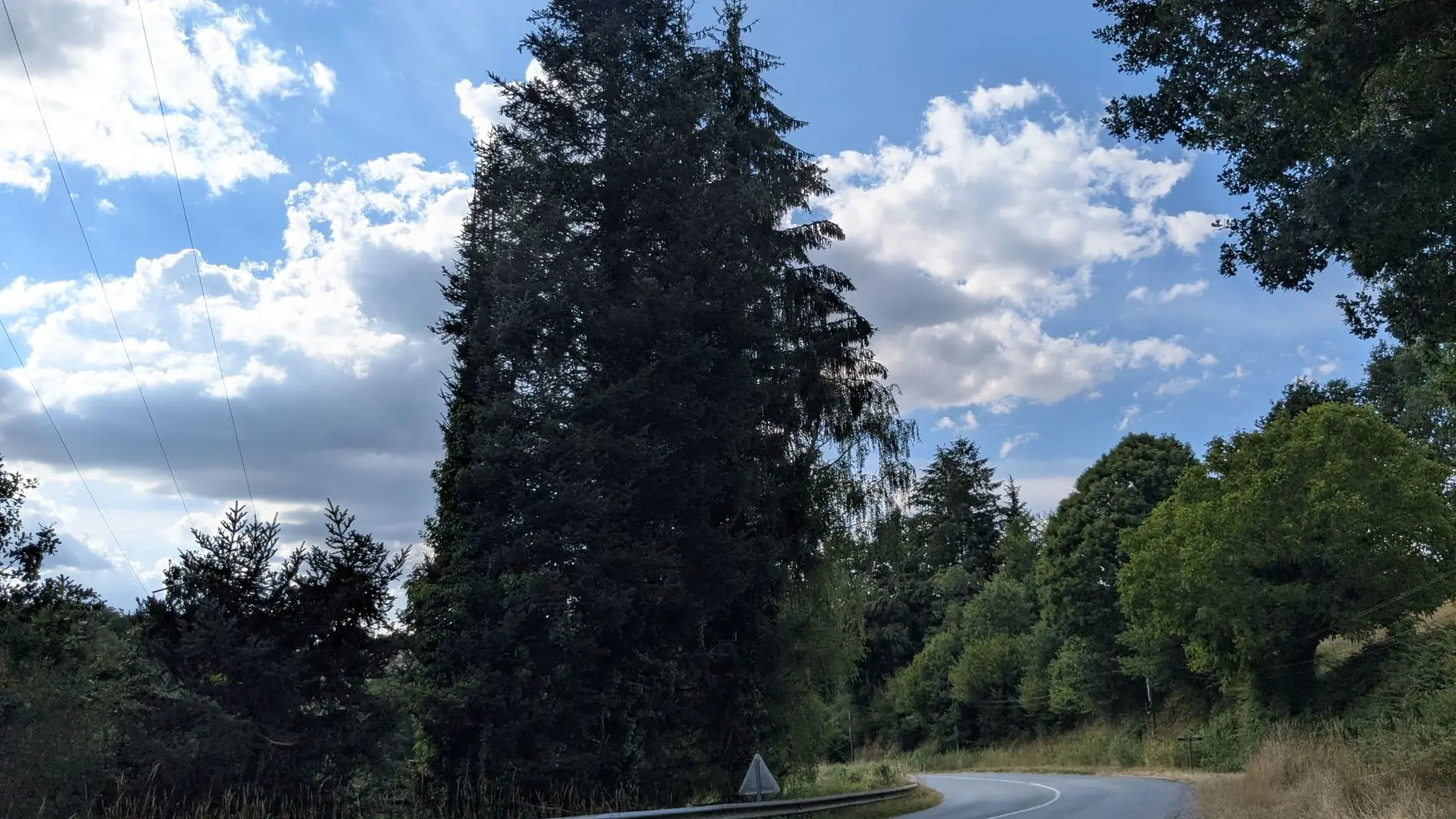 Route entre Treignac et Chamberet