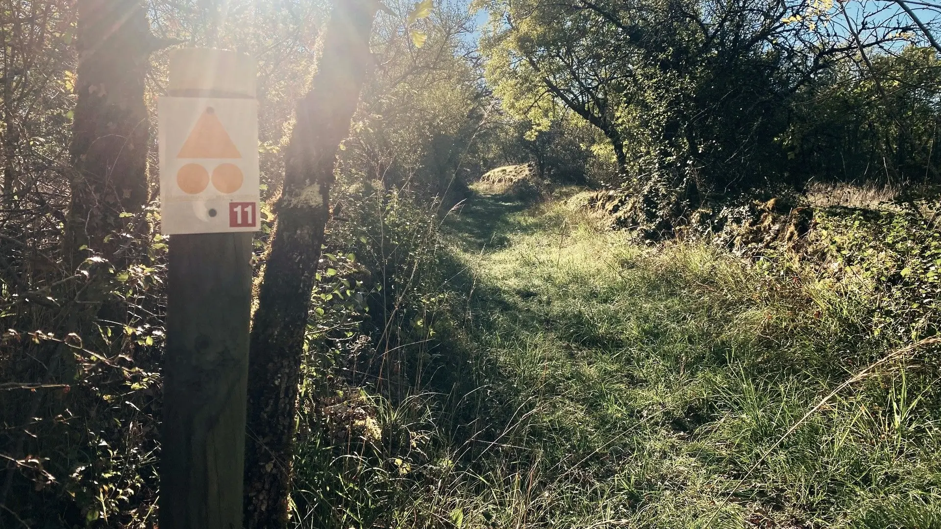 SAINT-PANTALY-D'EXCIDEUIL-Boucle des Causses verts-Chemin-Poteau