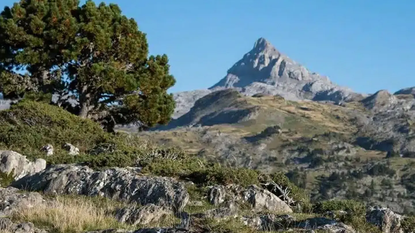 alter rando - Pau - les Pyrénées 2