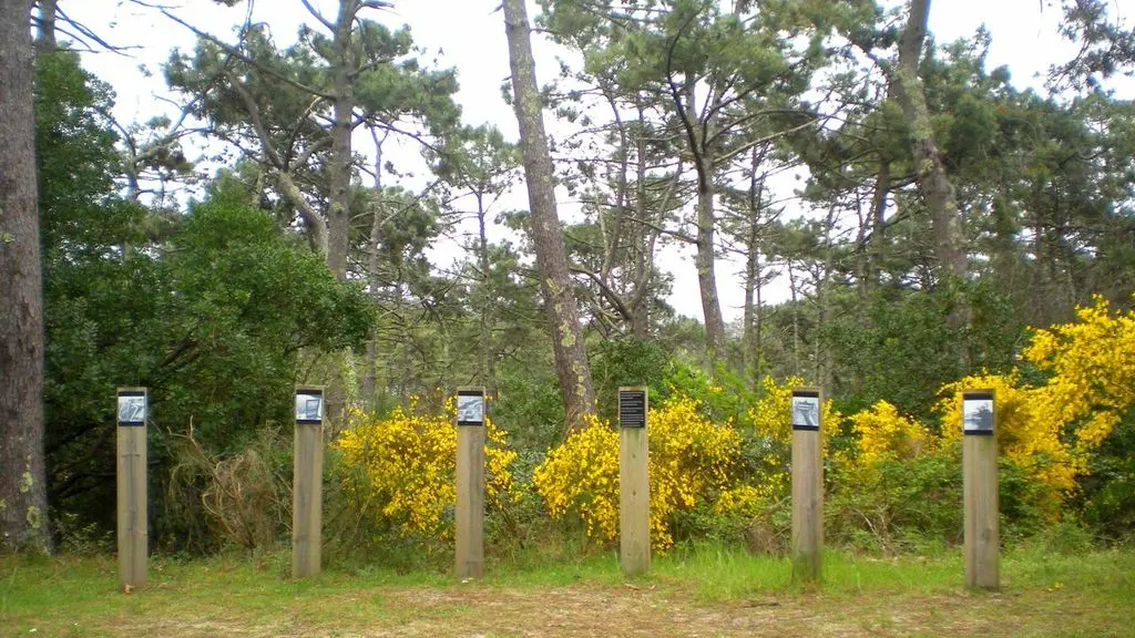 Sentier d'interprétation et point de vue