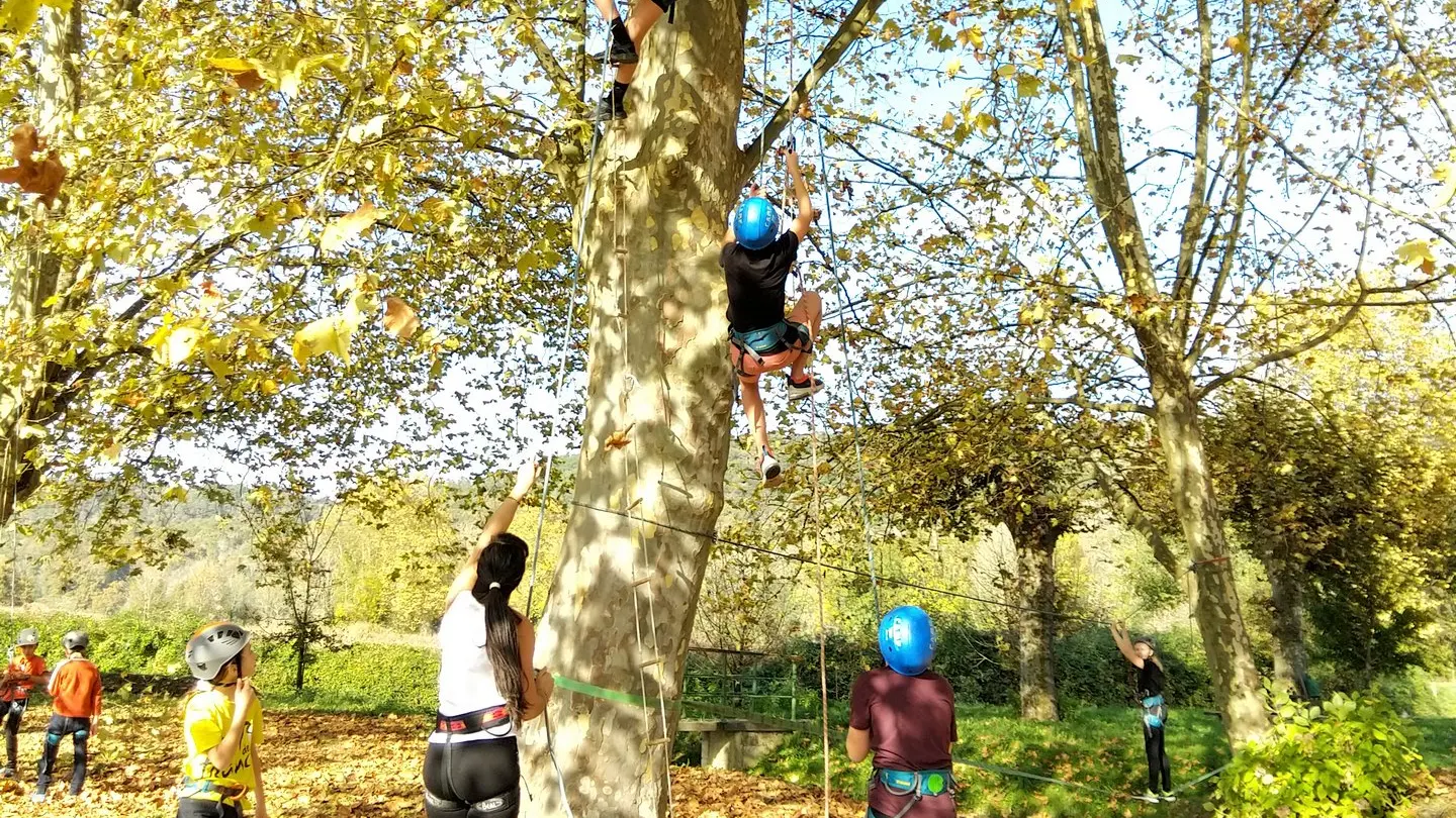 Escalad'arbre Sports Loisirs Outdoor