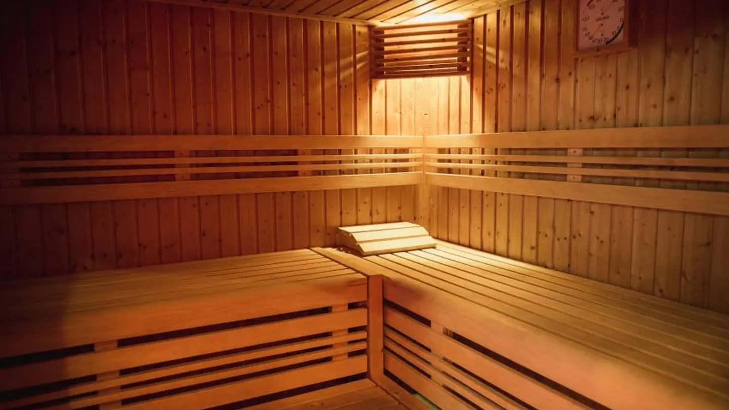 Spa Villa Navarre - Pau - sauna