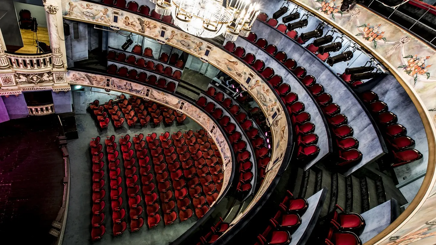 Théâtre Saint Louis - Pau - Vue depuis le paradis