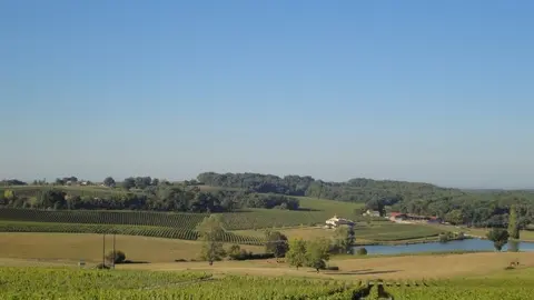 Vallée - Château Pique-Sègue