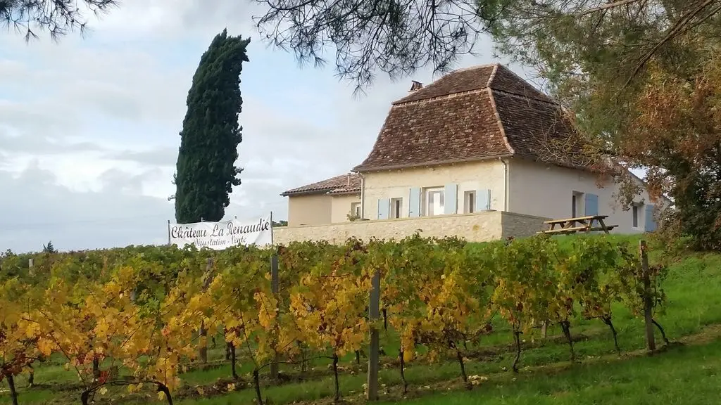 Vieille Périgourdine et vignes