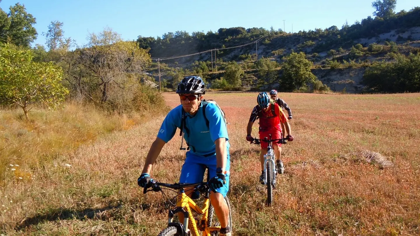 Activélo Béarn - Rontignon - Rando cyclo