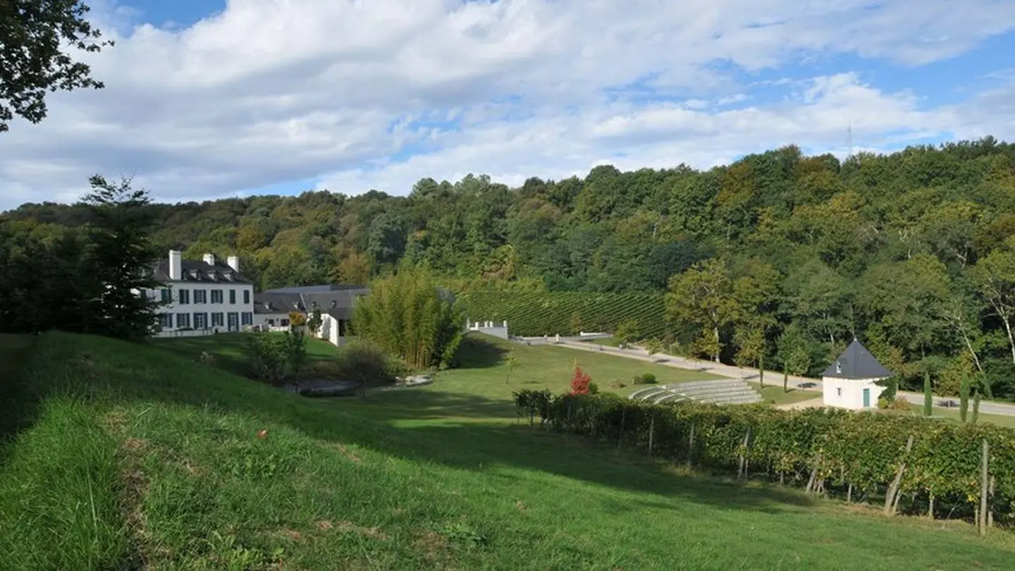 Domaine du Cinquau - Artiguelouve - le domaine