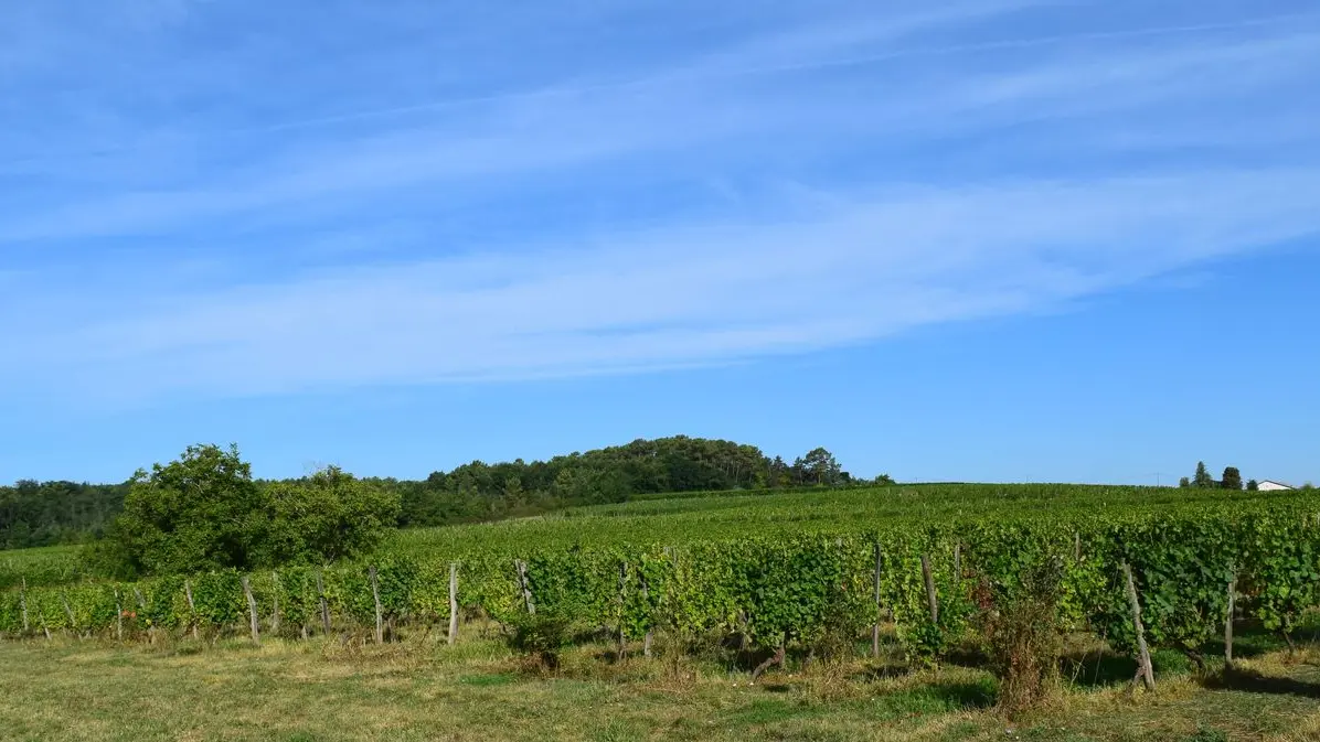 autour_saussignac-chateau_le_chabrier (4)-2