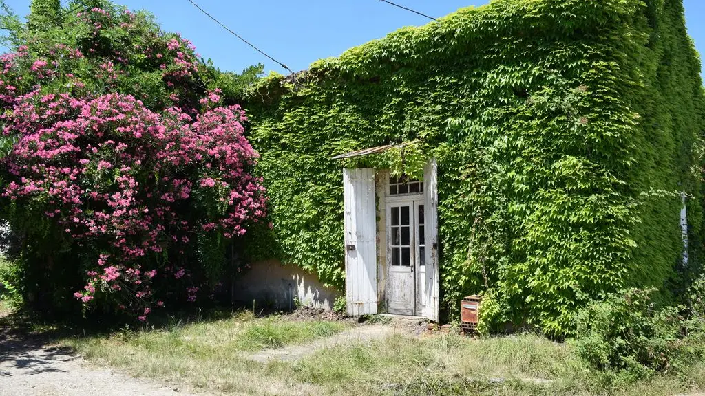 autour_velines-chateau_du_bloy (39)-2