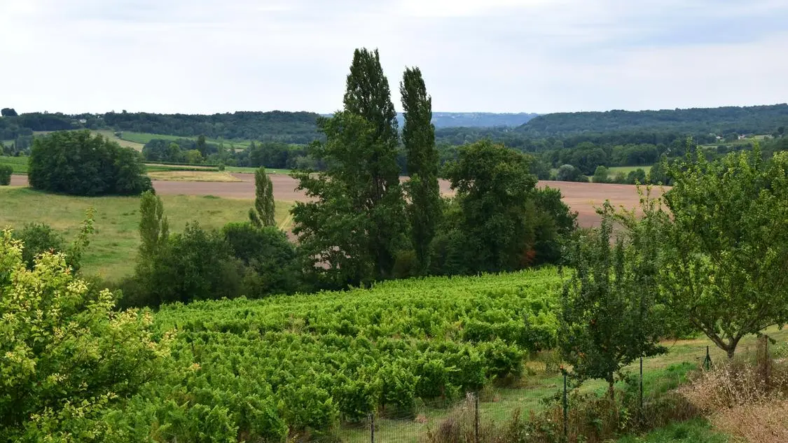 autour_velines-domaine_de_grimardy (15)-2