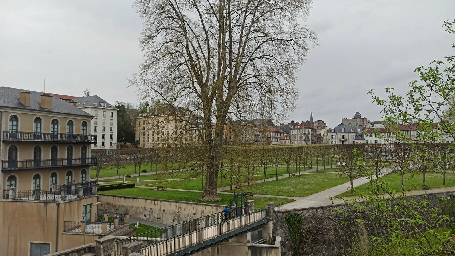 Château de Pau - (Basse-Plante) 2