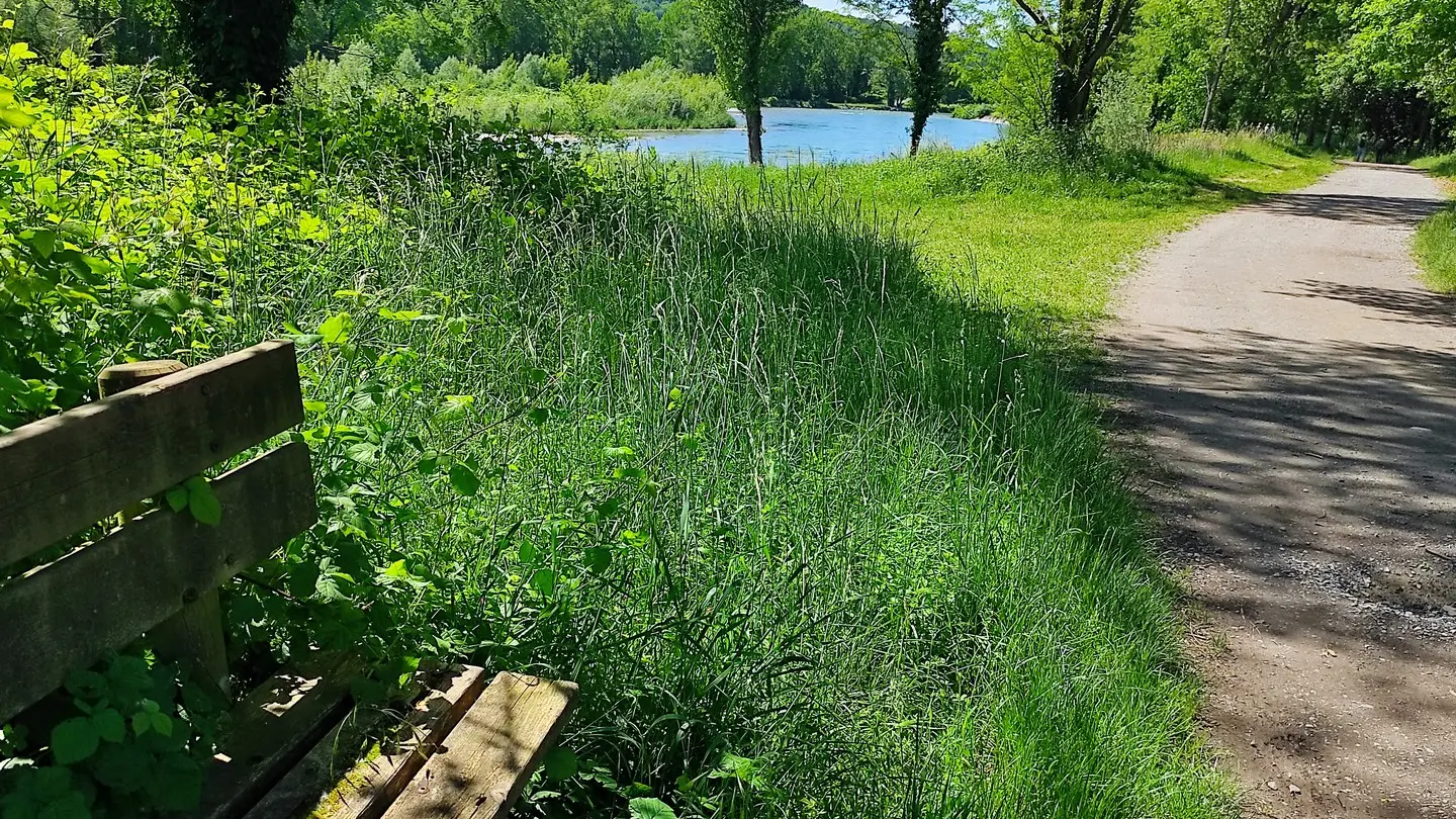 Lacs de Laroin - Laroin - bancs sur le parcours