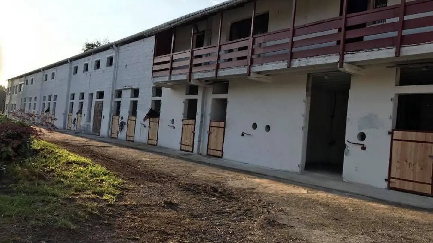 Centre equestre du Basacle - Lons - box