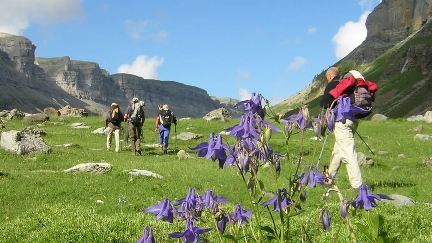 Agence Bivouac - Ousse - Randonnées fleurs