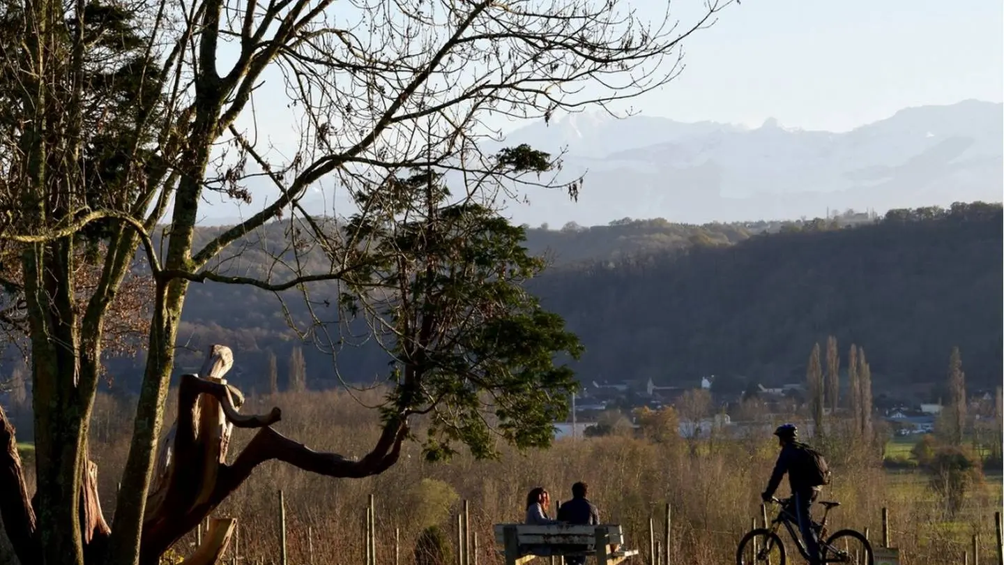 Bizanos - Les hauteurs de Franqueville - le parc de Franqueville