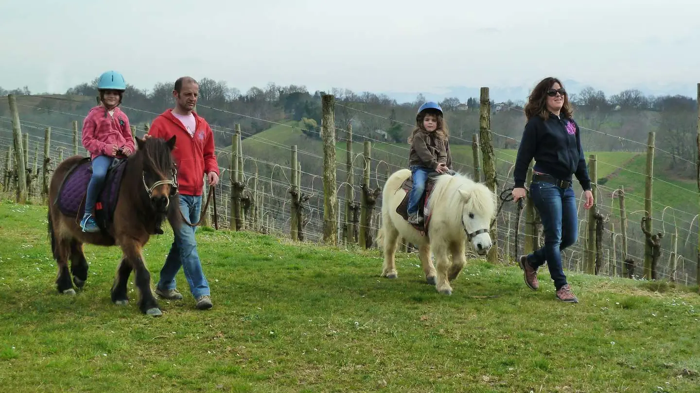 La Cabaline - Aubertin - poneys