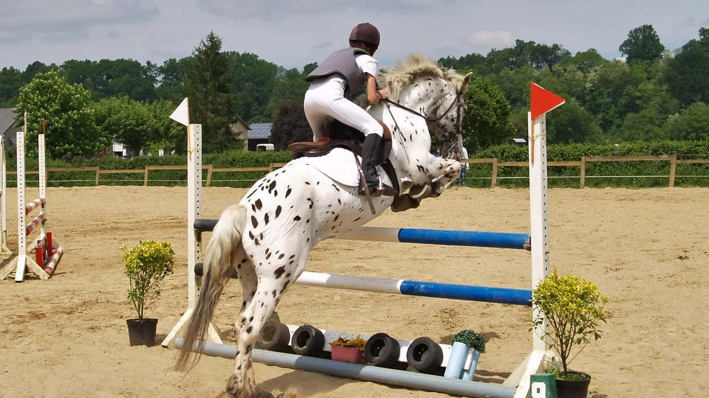 Club Hippique - Lescar - saut 2