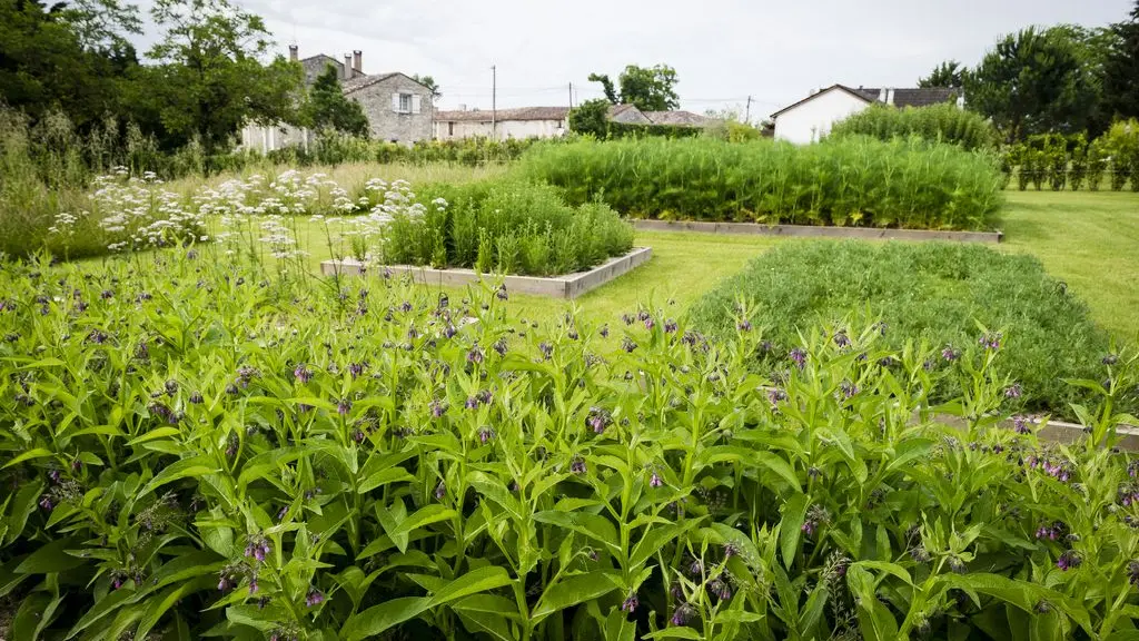 chateau_monestier_la-tour_Le jardin