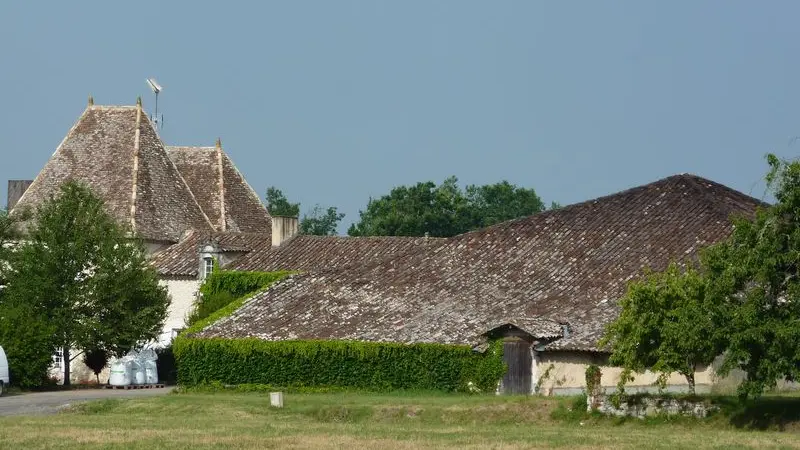 chateau-caillavel (3)