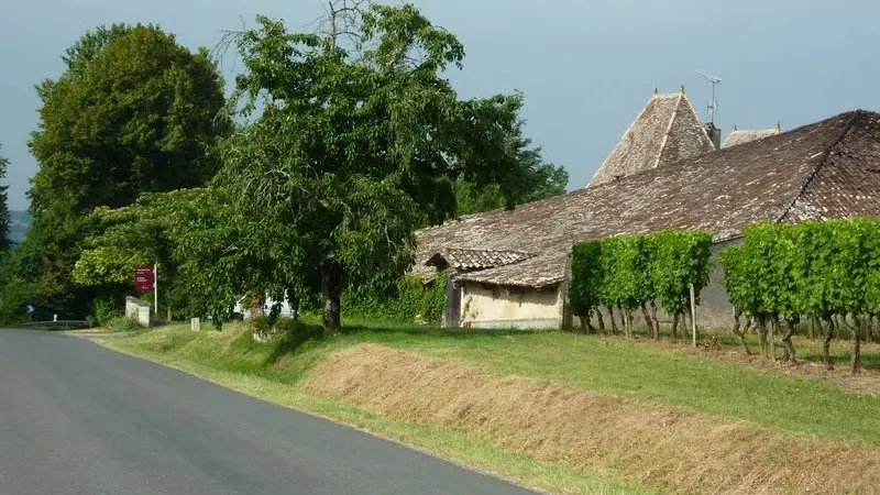 chateau-caillavel (4)