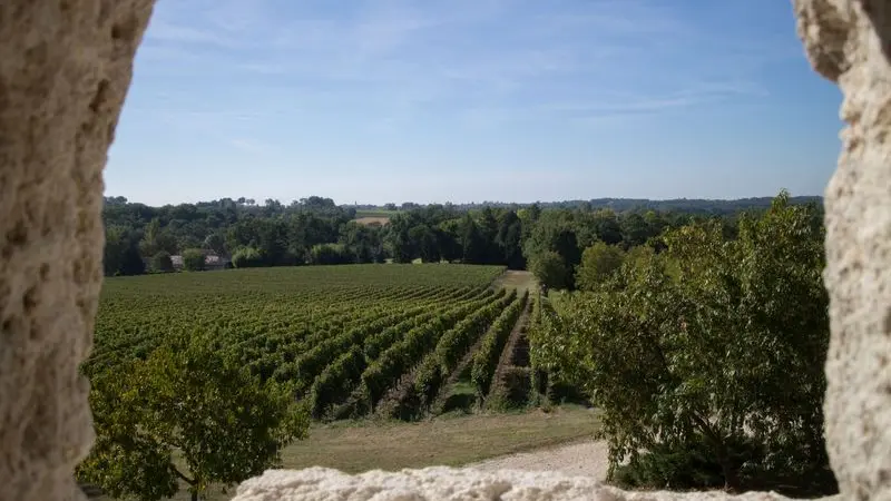 chateau-laulerie (7)