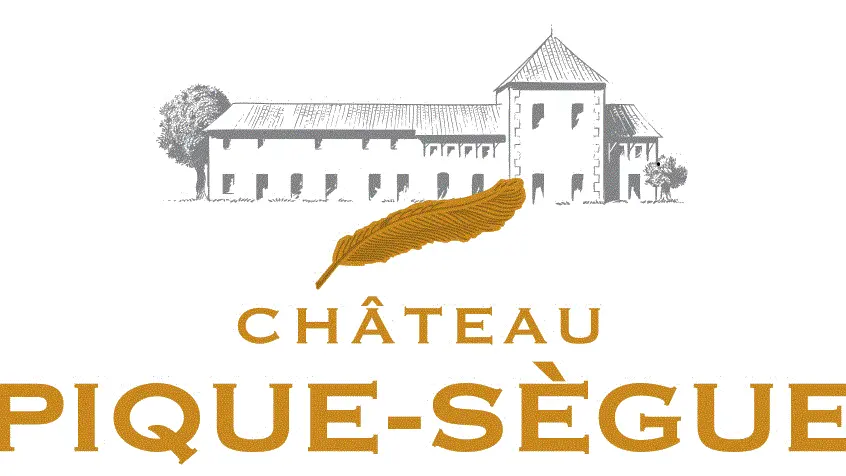 chateau_pique_segue_2018 (2)