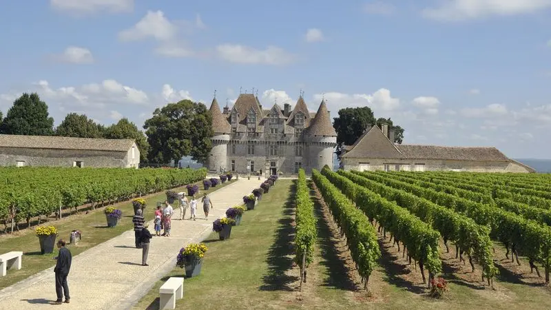 chateaudemonbazillac©chateaudemonbazillac (37)