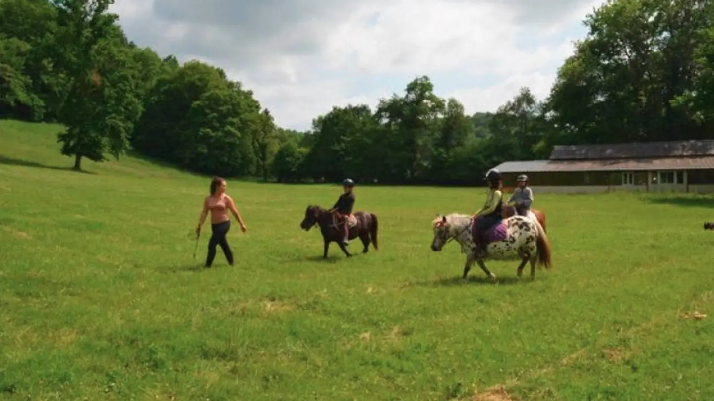 Les P'tits cavaliers - Aubertin - les poneys