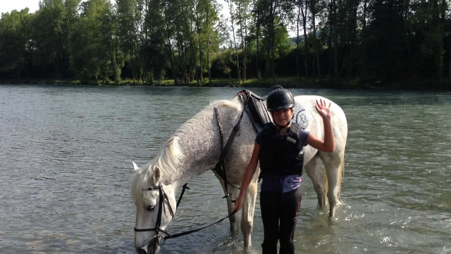 Cheval Détente - Laroin - au bord du gave