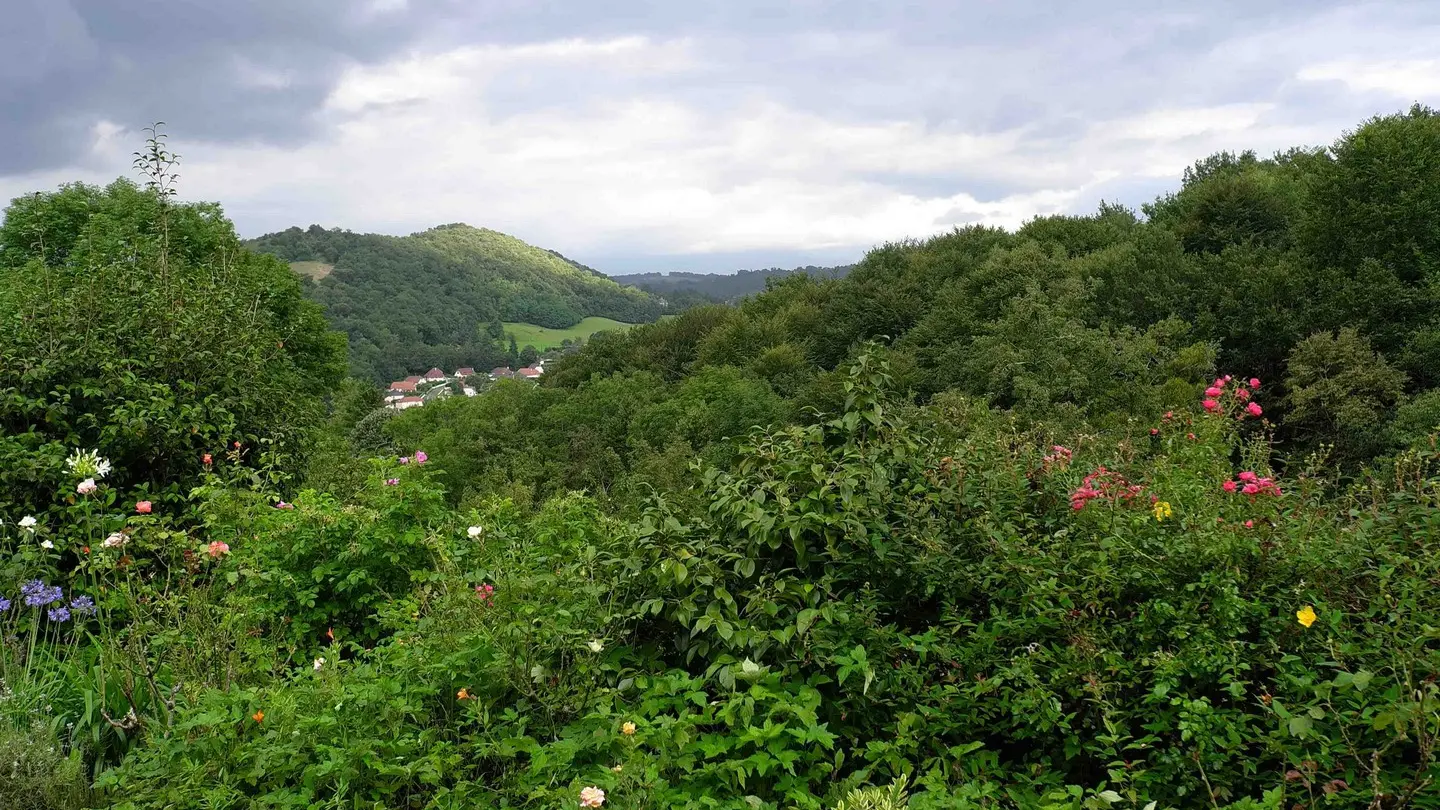 La vigne vierge - Gan - la vue