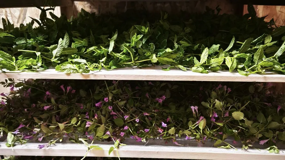 ferme-du-séchoir-séchage-beleymas-tourisme-vallée-isle