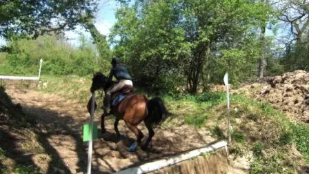 ferme equestre lagravade