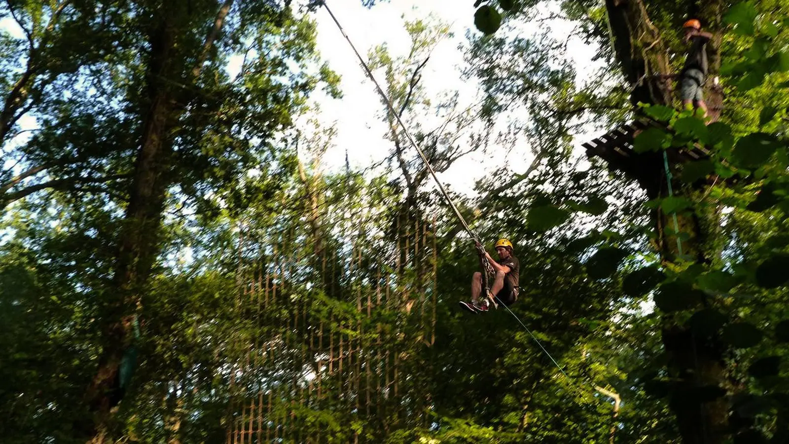 La Forêt des Vert'tiges