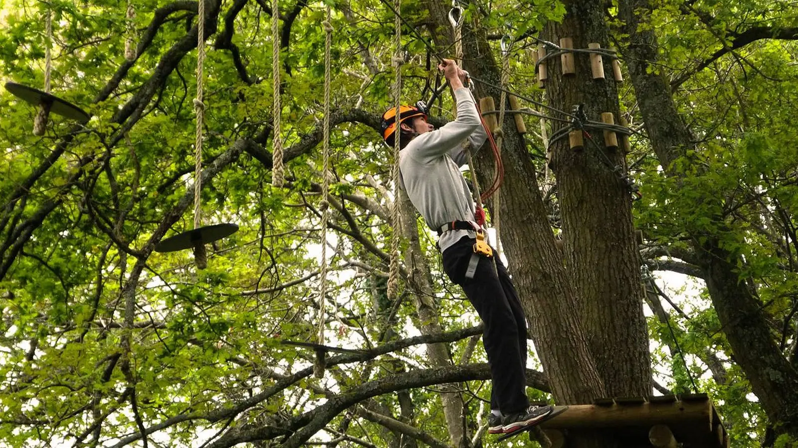 La Forêt des Vert'tiges