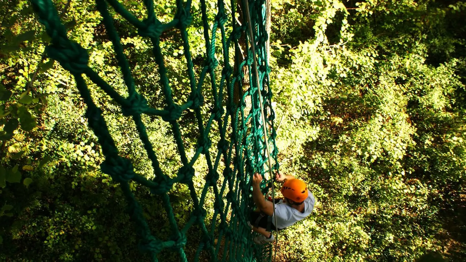 La Forêt des Vert'tiges