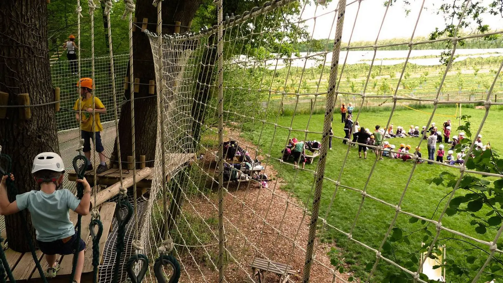 La Forêt des Vert'tiges